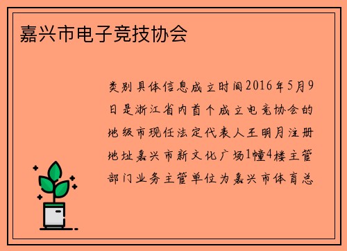 嘉兴市电子竞技协会